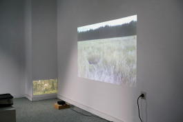 katrin ribbe