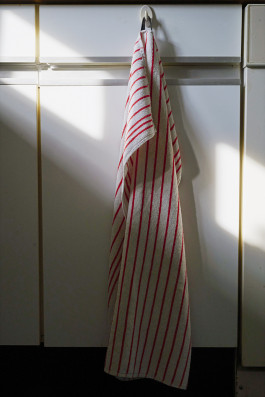 katrin ribbe 