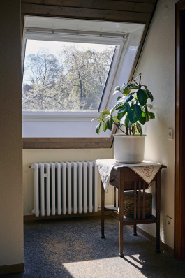 katrin ribbe 