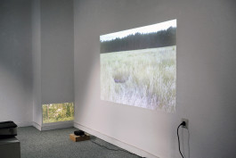 katrin ribbe