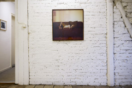 katrin ribbe 