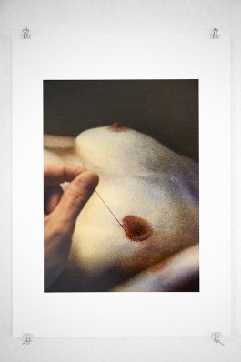 katrin ribbe 