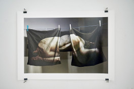 katrin ribbe 