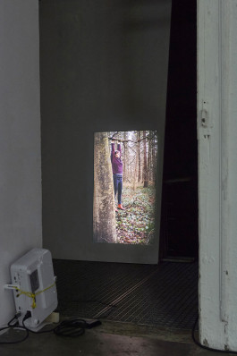 katrin ribbe